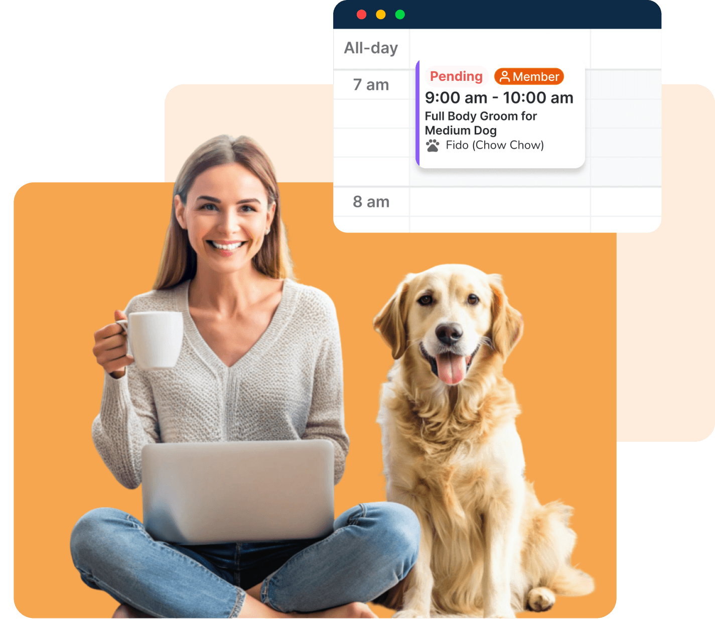 Appointment Management image